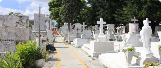 Panteón Guadalupe